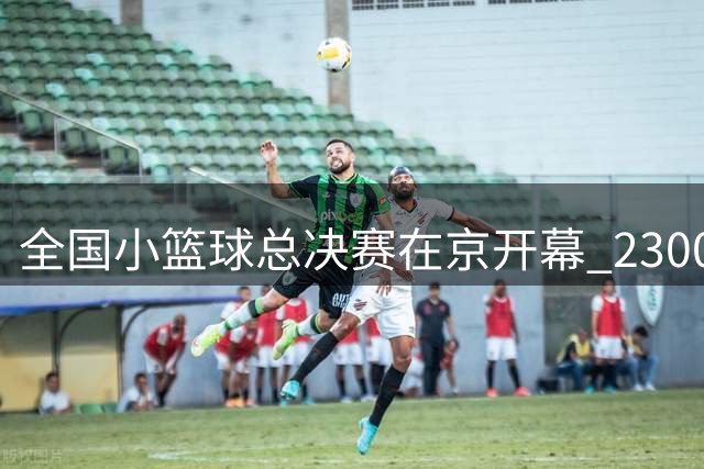 全国小篮球总决赛在京开幕 2300名小球员参与角逐