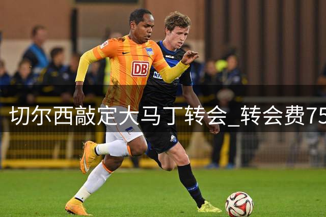 切尔西敲定大马丁转会 转会费750万英镑