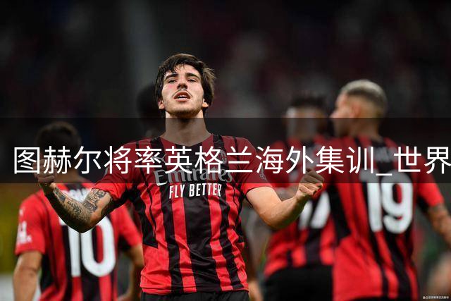 图赫尔将率英格兰海外集训 世界杯后备战欧国联