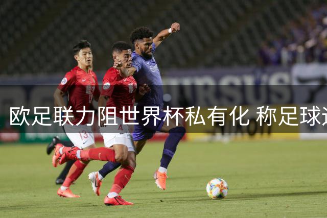 欧足联力阻世界杯私有化 称足球运动不可沦为商品