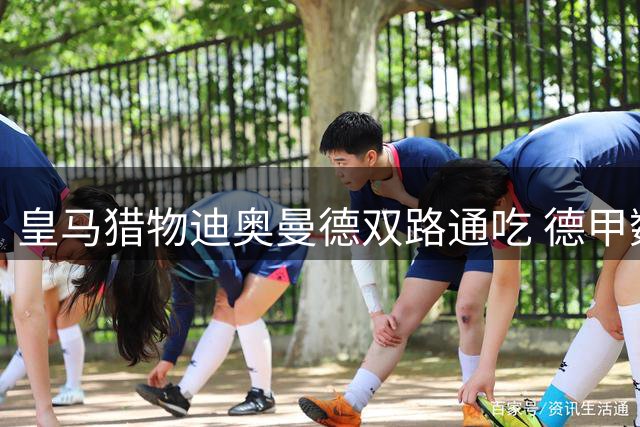 皇马猎物迪奥曼德双路通吃 德甲数据揭示边路多面手真正价值