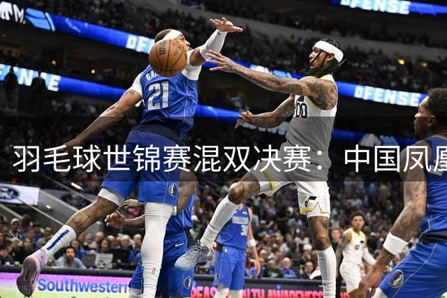 羽毛球世锦赛混双决赛：中国凤凰组合惜败法国选手摘银