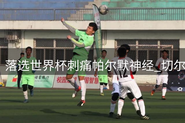 落选世界杯刺痛帕尔默神经 切尔西前锋誓用表现回击质疑